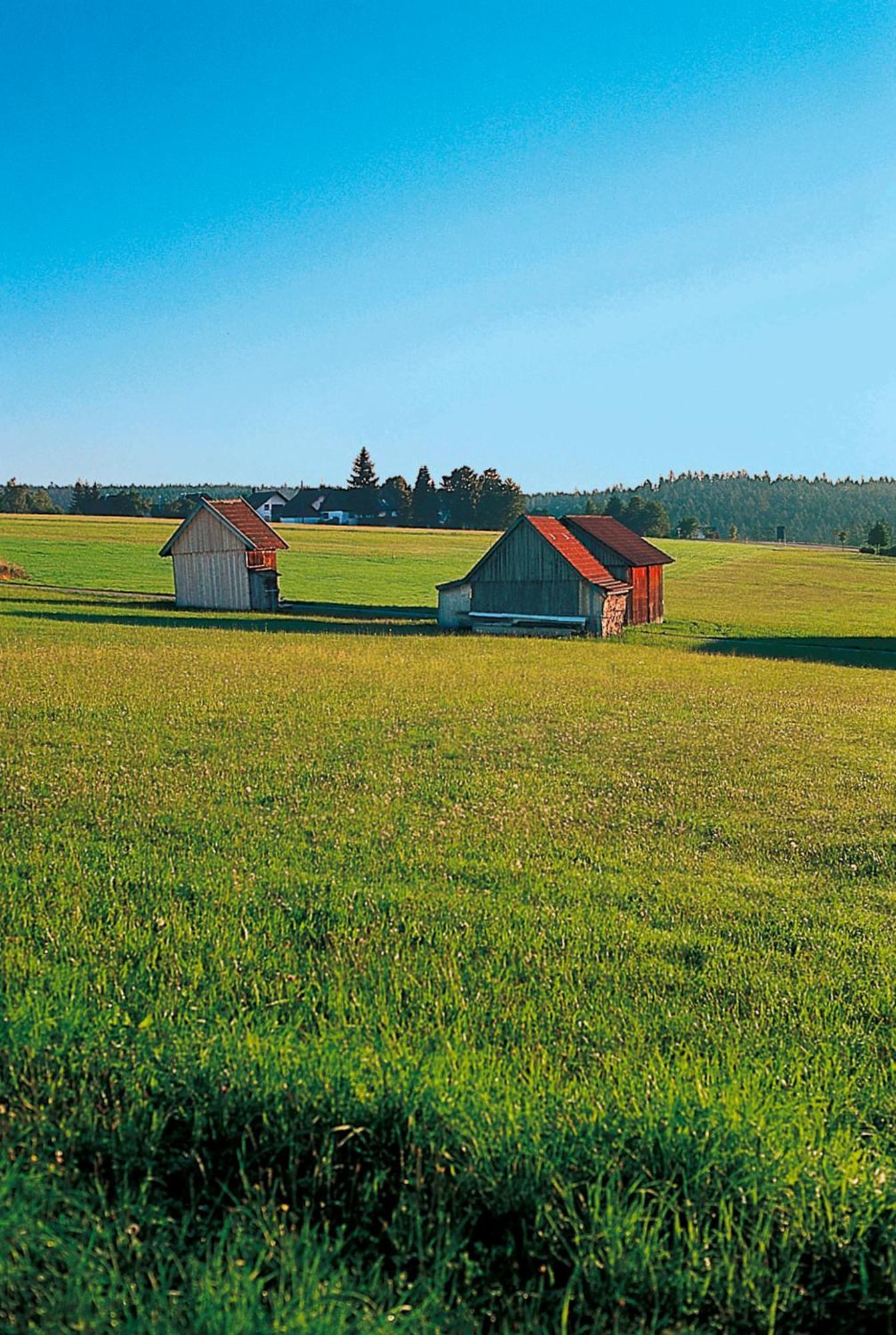 Landhaus Sackmann Baiersbronn Exterior photo